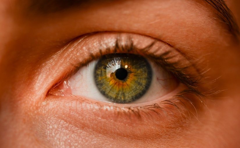 Oczy to wyrafinowany organ. To otóż to dzięki nim rozróżniamy.